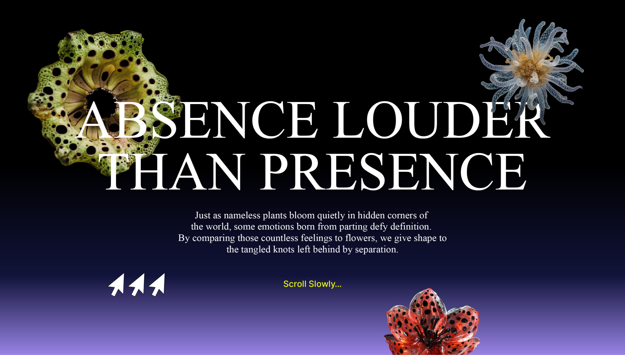 ABSENCE LOUDER THAN PRESENCE - 2026 건국대학교 시각영상디자인학과 졸업전시회